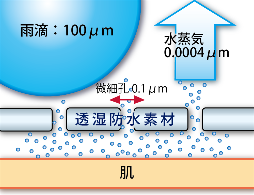 日本工業標準 透濕性試験(JIS L 1099)