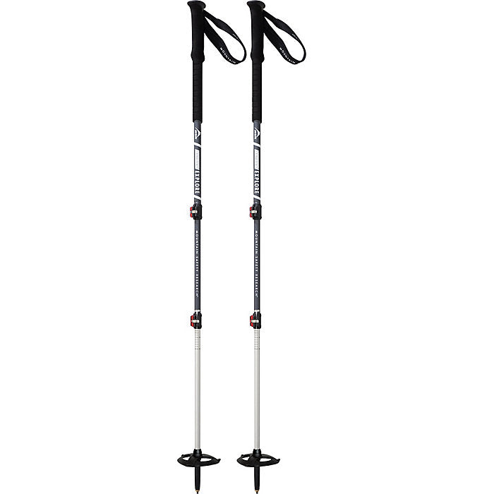 MSR DynaLock 鋁製兩段可調式登山杖 /成對