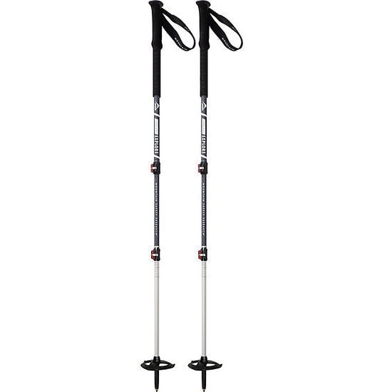 MSR DynaLock 鋁製兩段可調式登山杖 /成對