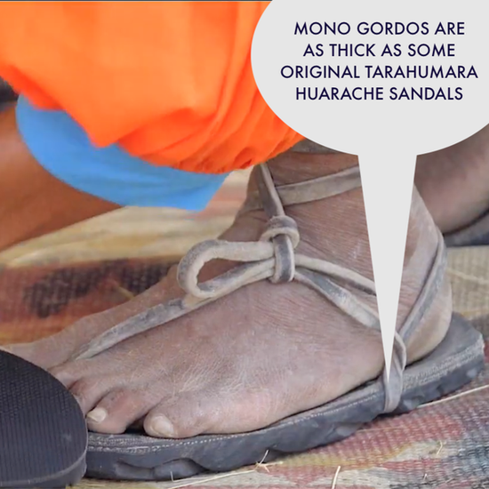 LUNA Sandals MONO GORDO WINGED EDITION 攀岩涼鞋