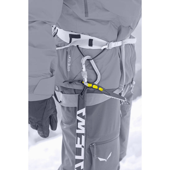 Salewa ALPINE-X 健行冰斧 【 NIMO買這支 】53/65