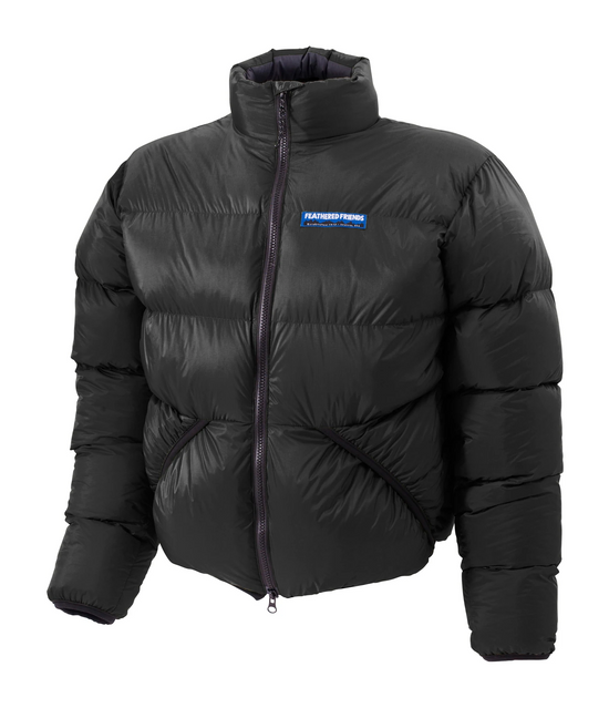 FEATHERED FRIENDS Pertex® Quantum Pro®  Helios 900+ 輕量冬季羽絨外套  男女同版 美國製